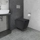 Миниатюра изображения товара Унитаз подвесной с инсталляцией Lauter Magdeburg 21103EC + 21901002 (кнопка квадратная, черный)