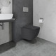 Миниатюра изображения товара Унитаз подвесной с инсталляцией Lauter Augsburg 21109EC + 21901002 (кнопка квадратная, черный)