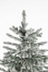 Миниатюра изображения товара Ель искусственная Ёлушка Уральская заснеженная / ЕУРАЛЗ 21 (2.1м, подставка пластик)