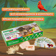 Миниатюра изображения товара Набор для опытов Brauberg Kids. Раскопки. Дикие животные / 665128