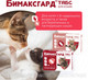 Миниатюра изображения товара Таблетки от глистов Бимаксгард Табс Для крупных кошек (2 таблетки)