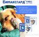 Миниатюра изображения товара Таблетки от глистов Бимаксгард Табс Для щенков и маленьких собак (2 таблетки)
