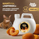 Миниатюра изображения товара Шампунь для животных Iv San Bernard Just for cats Apricot Для короткой и средней шерсти (1000мл)