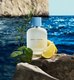 Миниатюра изображения товара Туалетная вода Dolce&Gabbana Light Blue Men (50мл)