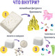 Миниатюра изображения товара Набор для опытов Bumbaram Раскопки. 3в1 Школа волшебства / dig-87