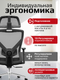 Миниатюра изображения товара Кресло офисное Evolution ErgoLine 2