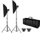 Миниатюра изображения товара Комплект оборудования для фотостудии Falcon Eyes KeyLight III 2200D SB Kit / 30649