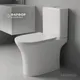 Миниатюра изображения товара Унитаз напольный Saniteco Tornado KW-79142 Pro