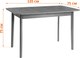Миниатюра изображения товара Обеденный стол Tetchair Sonata Lux 120x75x75 (антик/графит)