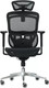Миниатюра изображения товара Кресло офисное Sparx FM-6 Mooven (Black)