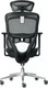 Миниатюра изображения товара Кресло офисное Sparx FM-6 Mooven (Black)