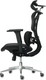 Миниатюра изображения товара Кресло офисное Sparx FM-6 Mooven (Black)