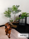Миниатюра изображения товара Искусственное растение Merry Bear Home Decor Жакаранда Мимозолистная AY909095