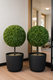 Миниатюра изображения товара Искусственное растение Merry Bear Home Decor Самшит шаровидный без горшка A048063