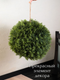 Миниатюра изображения товара Искусственное растение Merry Bear Home Decor Туя шаровидная подвесная / AQ91045