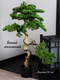Миниатюра изображения товара Искусственное растение Merry Bear Home Decor Бонсай игольчатый большой в горшке / PC-037