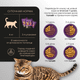 Миниатюра изображения товара Влажный корм для кошек Yumster Hairball С ягненком в соусе (85г)