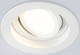 Миниатюра изображения товара Точечный светильник Ambrella TN102755 WH (белый)
