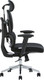 Миниатюра изображения товара Кресло офисное Evolution DynamicBalance (черный)