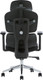 Миниатюра изображения товара Кресло офисное Evolution DynamicBalance (черный)
