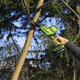 Миниатюра изображения товара Сабельная пила Greenworks GPT-CRS-25 бесщеточная 24V / 1200507CUB (с АКБ 4Ач и ЗУ)