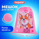 Миниатюра изображения товара Мешок для обуви Пифагор Fluffy Akita / 272385