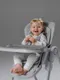 Миниатюра изображения товара Стульчик для кормления Amarobaby Gourmet / AB25-23GOU/11 (серый)