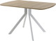 Миниатюра изображения товара Обеденный стол AMC Elite Е18(1200) D2 (серебро/дуб небраска натур)