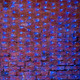 Миниатюра изображения товара Светодиодная сеть Neon-Night 215-043 (2x1.5м, синий)
