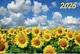 Миниатюра изображения товара Календарь настенный Атберг 98 Подсолнухи в поле (4610150101241)