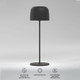 Миниатюра изображения товара Светильник уличный Elektrostandard Bitty TL70260 (черный)