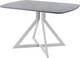 Миниатюра изображения товара Обеденный стол AMC Elite Е20(1200) D2 (серебро/бетон чикаго светло-серый)