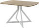 Миниатюра изображения товара Обеденный стол AMC Elite Е20(1100) D2 (серебро/дуб небраска натур)