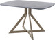 Миниатюра изображения товара Обеденный стол AMC Elite Е20(1100) D2 (капучино/бетон чикаго светло-серый)