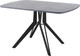 Миниатюра изображения товара Обеденный стол AMC Elite Е21(1200) D2 (черный/бетон чикаго светло-серый)