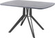 Миниатюра изображения товара Обеденный стол AMC Elite Е21(1200) D2 (графит/бетон чикаго светло-серый)