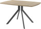 Миниатюра изображения товара Обеденный стол AMC Elite Е18(1200) D6 (графит/дуб небраска натур)