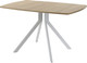 Миниатюра изображения товара Обеденный стол AMC Elite Е18(1100) D6 (серебро/дуб небраска натур)