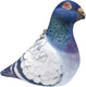Миниатюра изображения товара Мягкая игрушка Malvina Голубь / 200.1.5