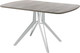 Миниатюра изображения товара Обеденный стол AMC Elite Е21(1100) D2 (серебро/дуб уайт-ривер песочно-бежевый)