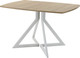 Миниатюра изображения товара Обеденный стол AMC Elite / Е20(1200) D6 (серебро/дуб небраска натур)