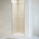 Миниатюра изображения товара Душевая дверь RGW PA-103 / 020810309-11