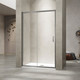 Миниатюра изображения товара Душевая дверь RGW PA-114Gr / 030811416-110