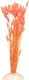 Миниатюра изображения товара Букет из сухоцветов Sofi de Marko Сухоцвет 75см СХЦ-0004-75роз (коралловый)