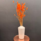 Миниатюра изображения товара Букет из сухоцветов Sofi de Marko Сухоцвет 75см СХЦ-0004-75 (оранжевый)