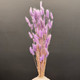 Миниатюра изображения товара Букет из сухоцветов Sofi de Marko Сухоцвет 75см СХЦ-0004-75фиол (светло-фиолетовый)