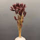 Миниатюра изображения товара Букет из сухоцветов Sofi de Marko Сухоцвет 75см СХЦ-0004-75тф (темно-фиолетовый)