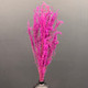 Миниатюра изображения товара Букет из сухоцветов Sofi de Marko Сухоцвет 75-85см СХЦ-0021-85ф (фуксия)