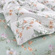 Миниатюра изображения товара Комплект постельного белья Sofi de Marko Ариэнна Евро 4н / Евро-3500