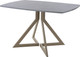Миниатюра изображения товара Обеденный стол AMC Elite / Е20(1100) D6 (капучино/бетон чикаго светло-серый)